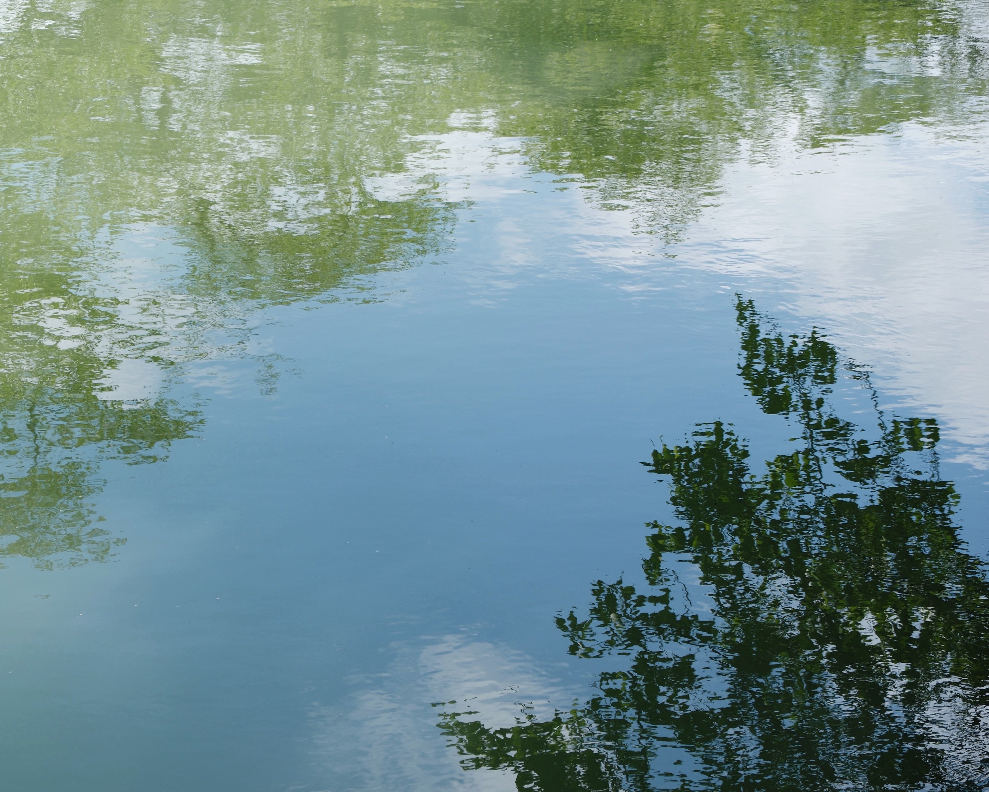 2023 夏季休暇出荷業務についてのお知らせ