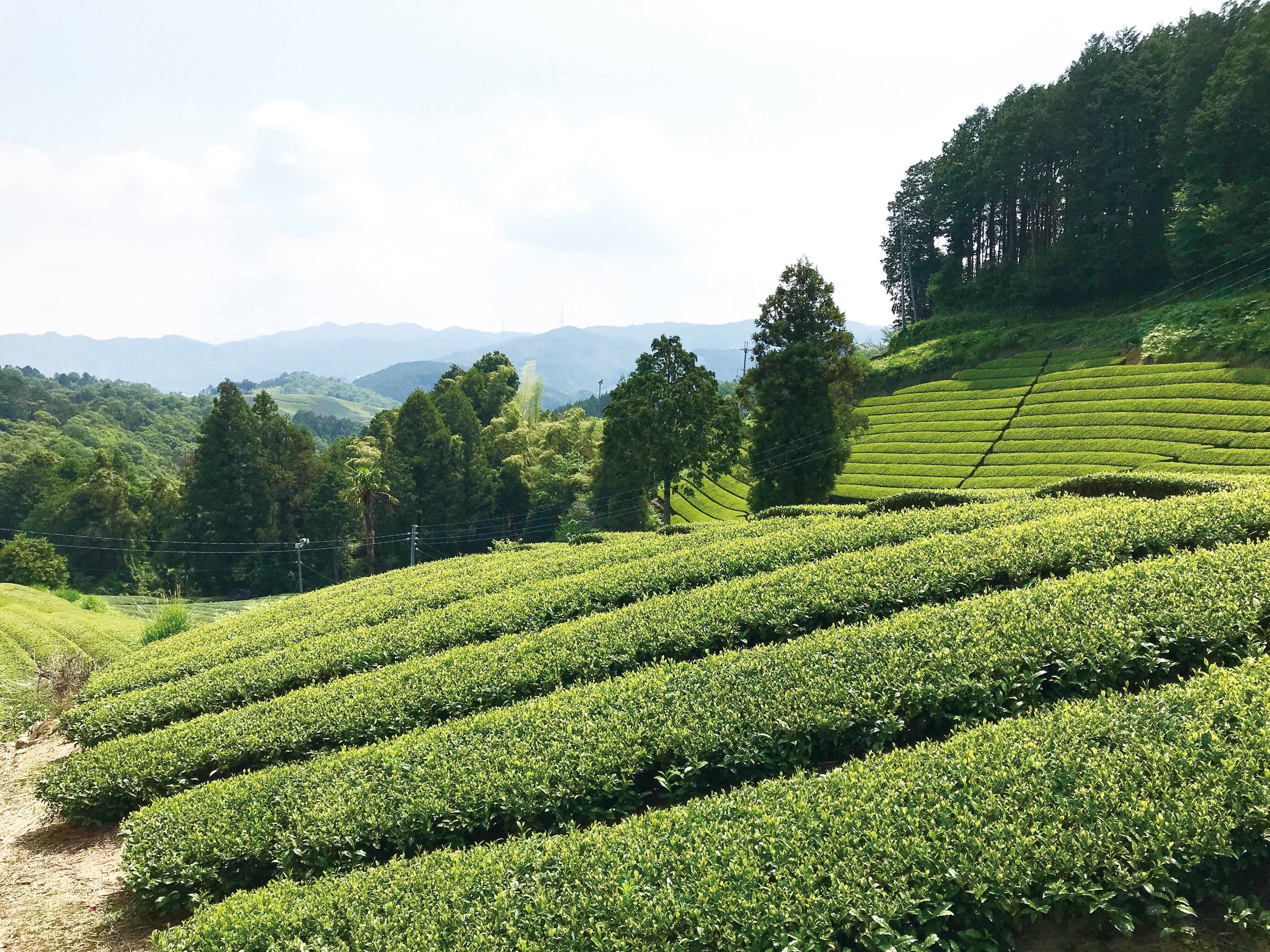 2023GW出荷業務についてのお知らせ