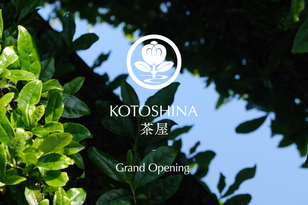 京都BAL1階にKOTOSHINA初のティースタンドオープンのお知らせ